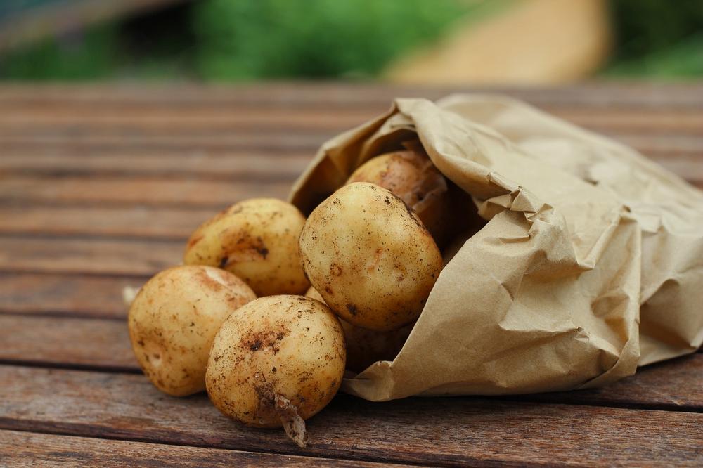 When are Raw Potatoes Bad for Pigs?